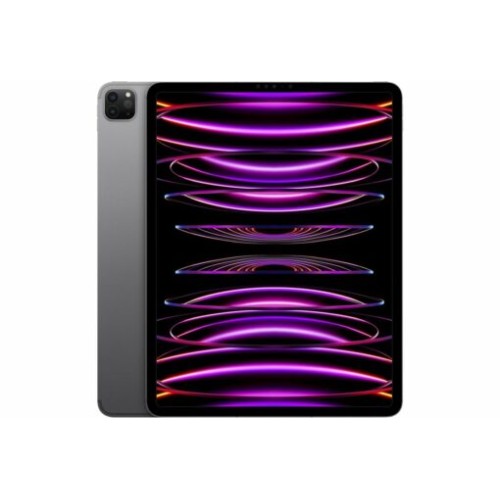 iPad Pro 12,9'' 5a Generazione 128GB 256GB 512GB 1TB A2461