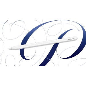 APPLE PENCIL PRO MX2D3ZM/A A2538 GRADO A+